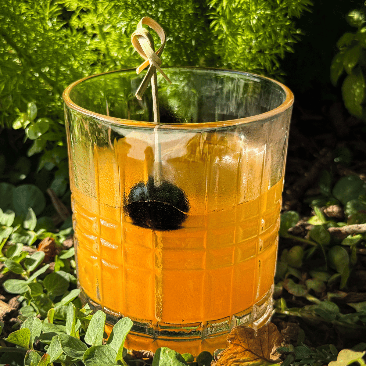 compa-cocktail-tequila(1) Dreamcatcher gin and Crème de Violette Cocktail