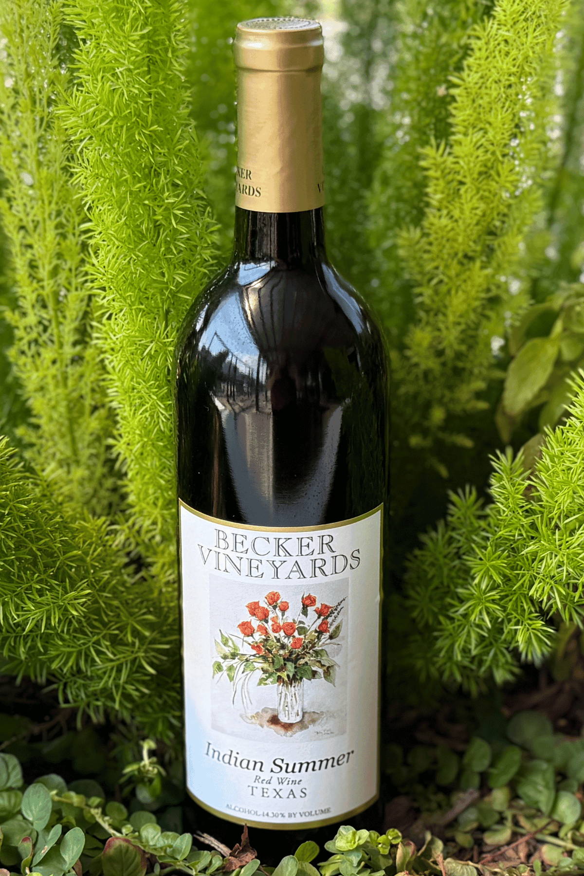 Indian summer red wine menu Houston