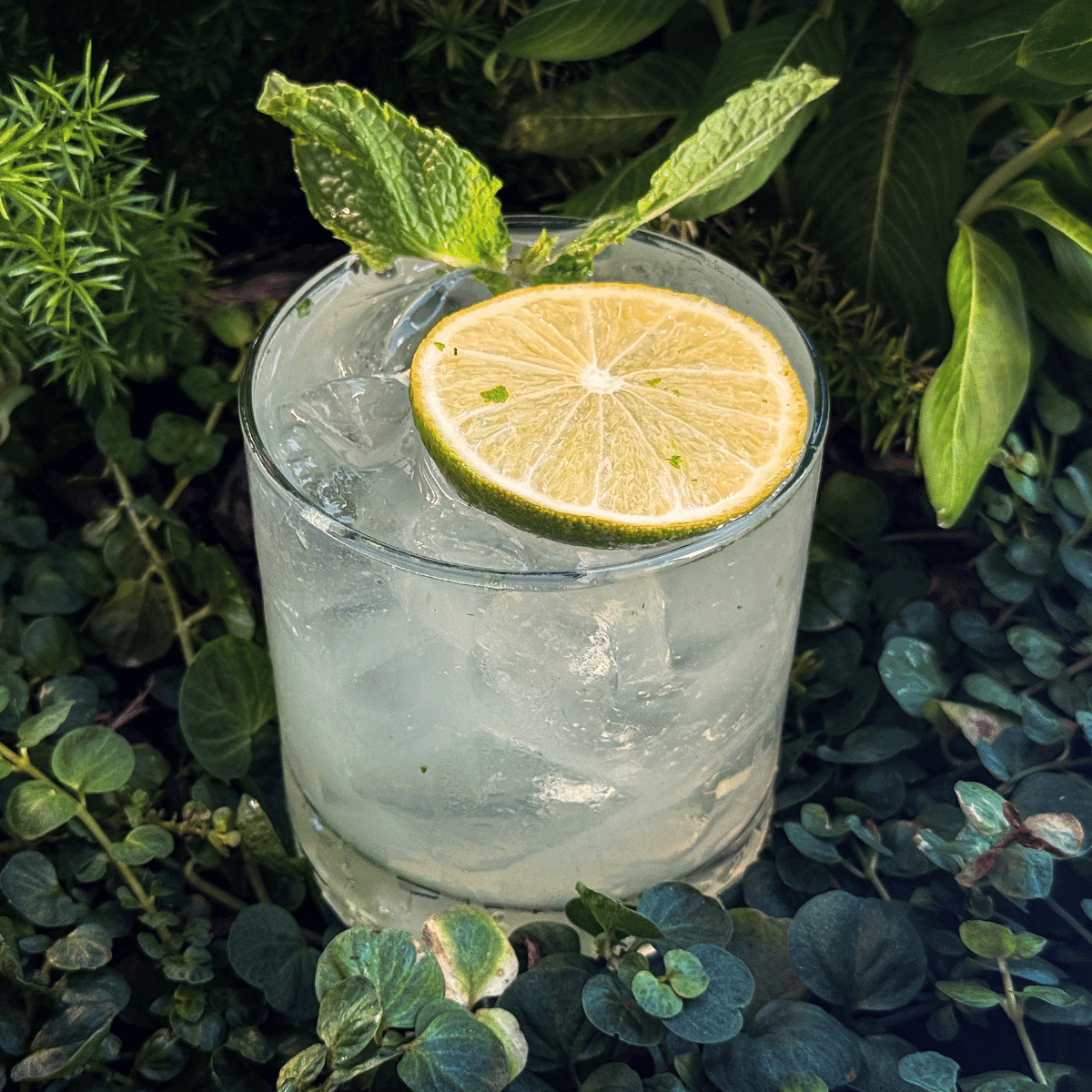 mint-condition-cocktail-mezcal Mint Condition Mezcal Cocktail