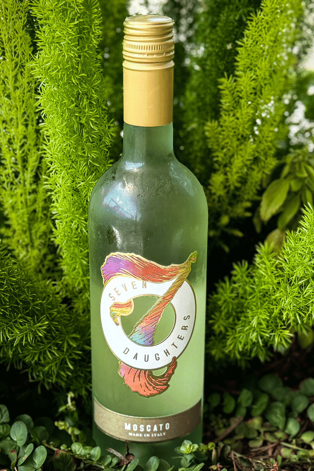Strawberry Fields Vodka Cocktail