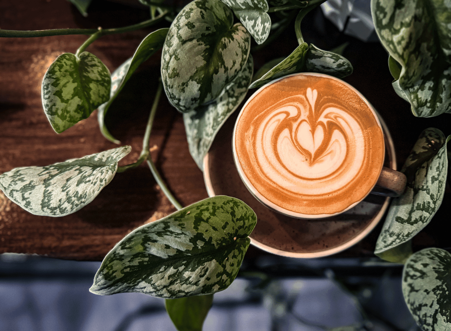 the coffee garden heights – latte Coffee Shop Sawyer Heights Houston